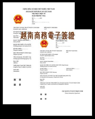 越南商務電子簽證